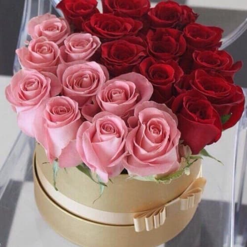 Микс из 21 красной и розовой розы